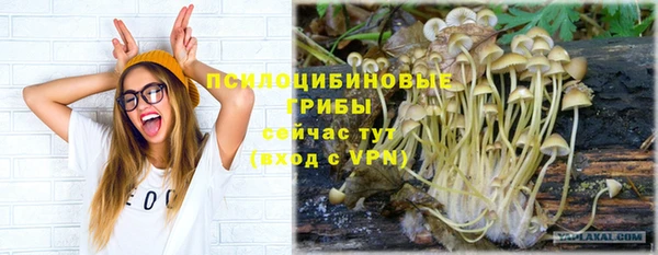 прущие крисы Нягань