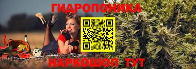 ГАЛЛЮЦИНОГЕННЫЕ ГРИБЫ Гусев