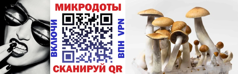 блэк спрут tor Югорск Псилоцибиновые грибы MAGIC MUSHROOMS