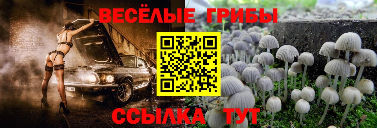 Галлюциногенные грибы MAGIC MUSHROOMS  Вход с VPN  Югорск 