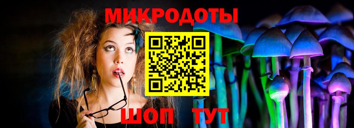 Псилоцибиновые грибы Psilocybe  Галлюциногенные грибы ЛСД  Югорск 